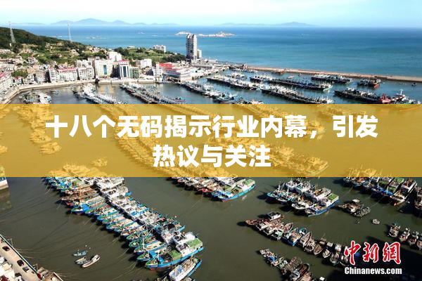 十八个无码揭示行业内幕，引发热议与关注