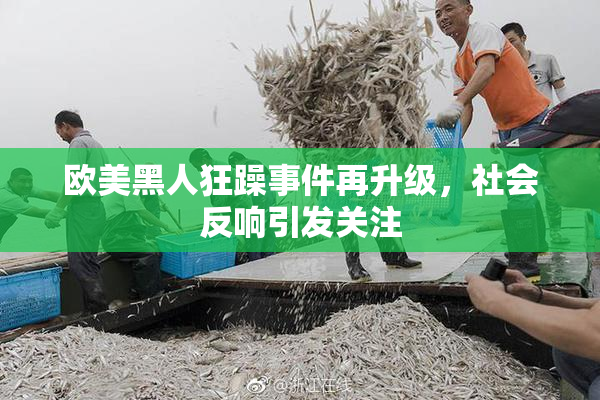 欧美黑人狂躁事件再升级，社会反响引发关注