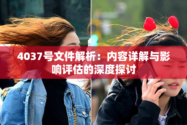 4037号文件解析：内容详解与影响评估的深度探讨