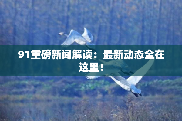 91重磅新闻解读：最新动态全在这里！