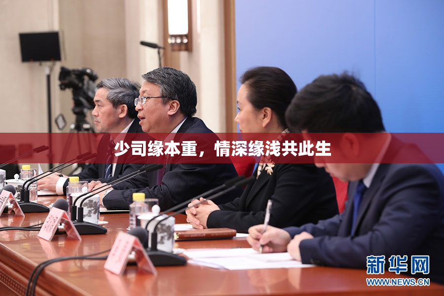 少司缘本重，情深缘浅共此生