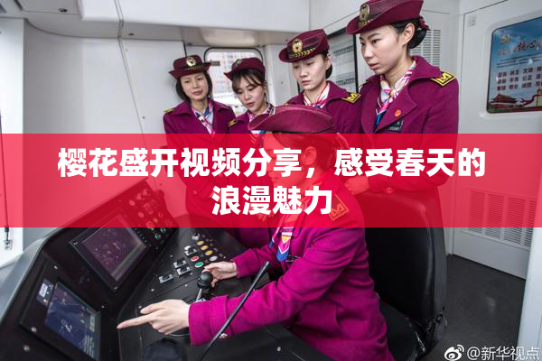 樱花盛开视频分享，感受春天的浪漫魅力