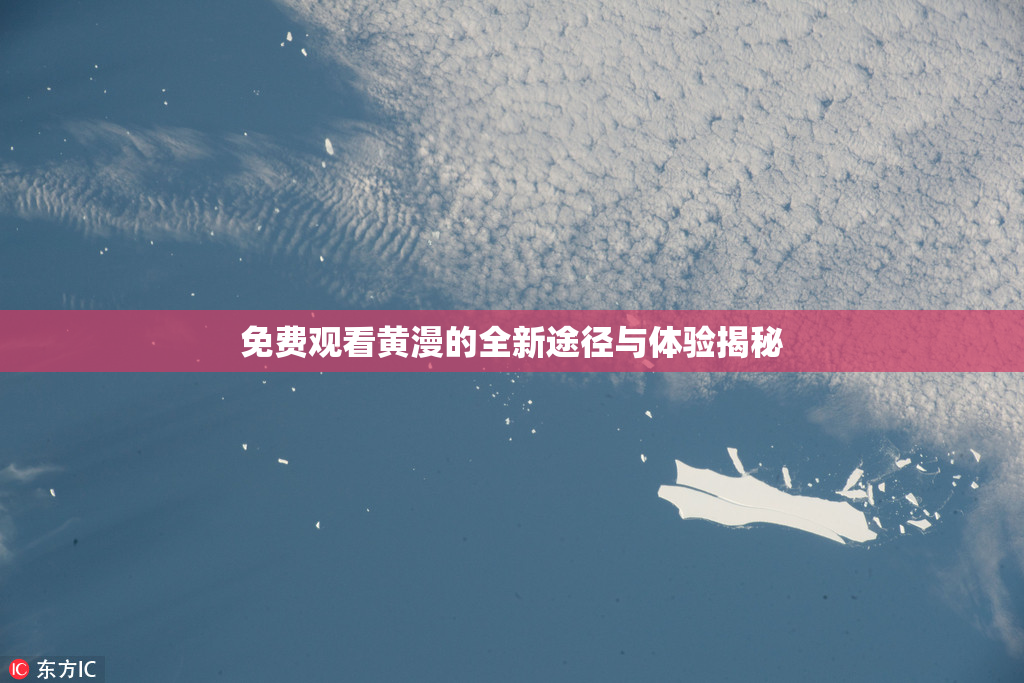 免费观看黄漫的全新途径与体验揭秘