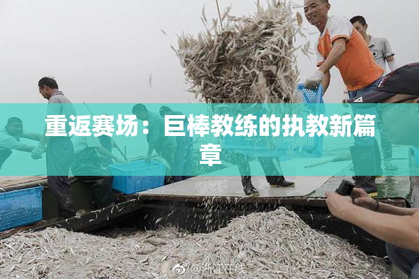 重返赛场：巨棒教练的执教新篇章