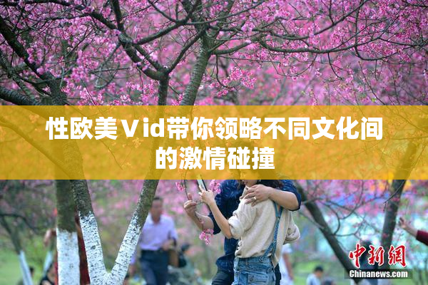 性欧美Ⅴid带你领略不同文化间的激情碰撞