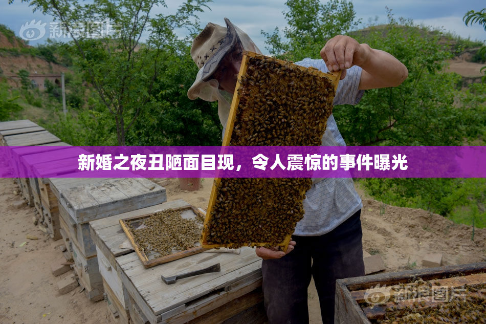 新婚之夜丑陋面目现，令人震惊的事件曝光