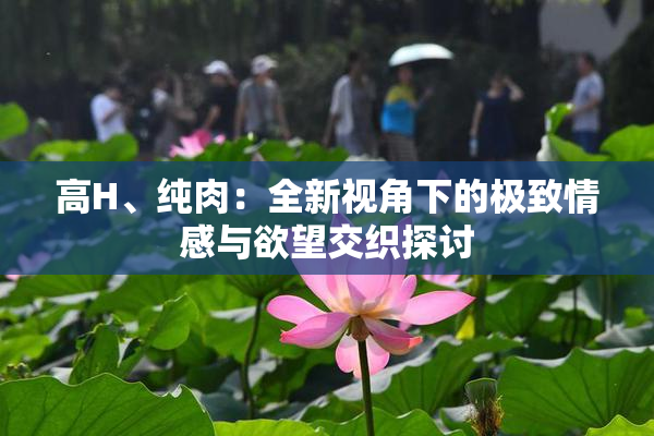 高H、纯肉：全新视角下的极致情感与欲望交织探讨