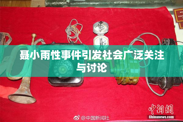 聂小雨性事件引发社会广泛关注与讨论