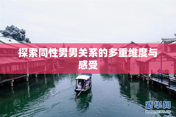 探索同性男男关系的多重维度与感受
