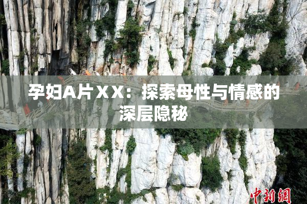 孕妇A片ⅩX：探索母性与情感的深层隐秘