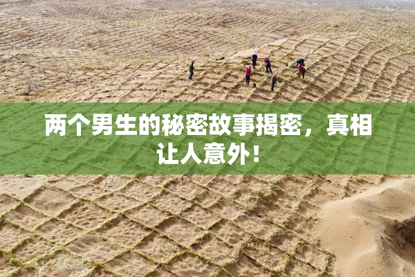 两个男生的秘密故事揭密，真相让人意外！