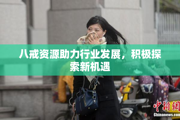 八戒资源助力行业发展，积极探索新机遇