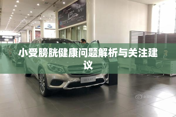 小受膀胱健康问题解析与关注建议