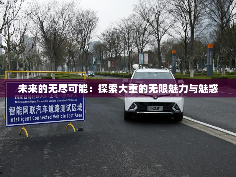 未来的无尽可能：探索大重的无限魅力与魅惑
