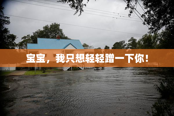 宝宝，我只想轻轻蹭一下你！