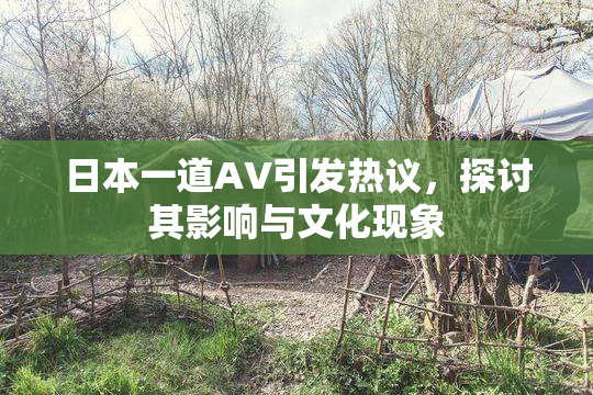 日本一道AV引发热议，探讨其影响与文化现象