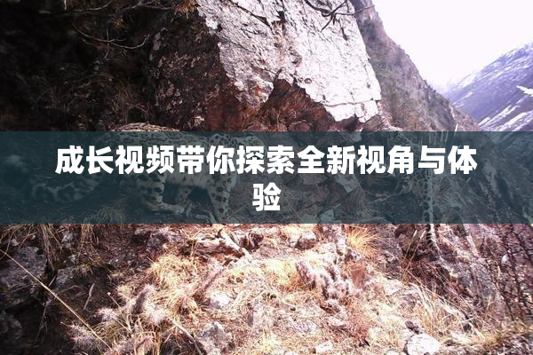 成长视频带你探索全新视角与体验