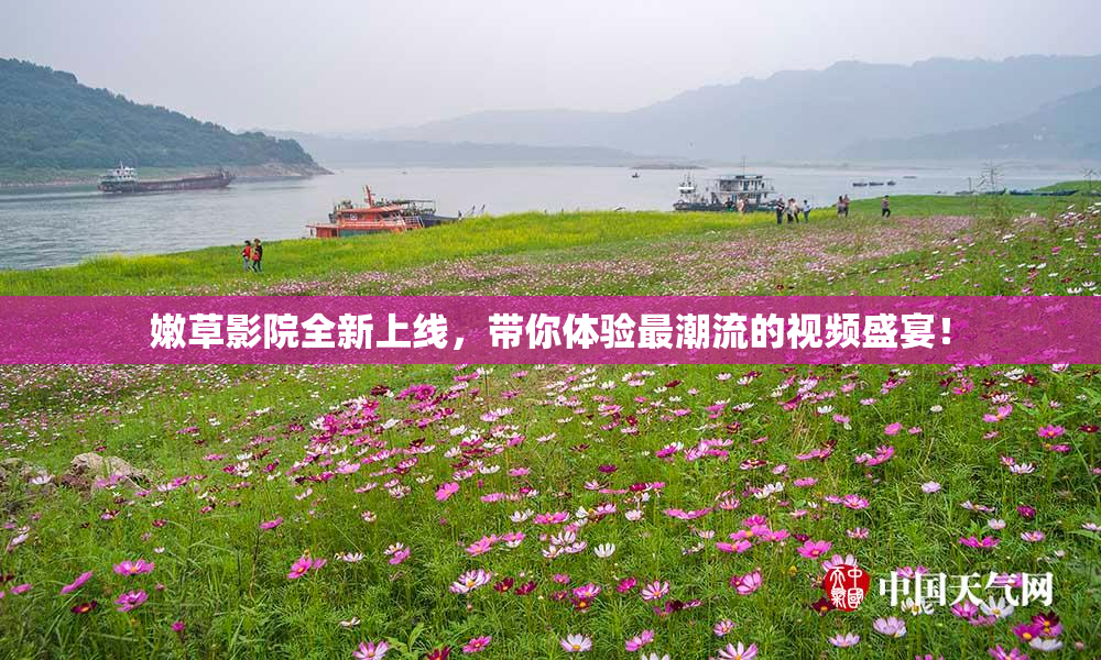 嫩草影院全新上线，带你体验最潮流的视频盛宴！