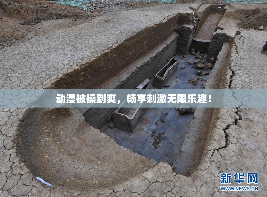 动漫被操到爽，畅享刺激无限乐趣！