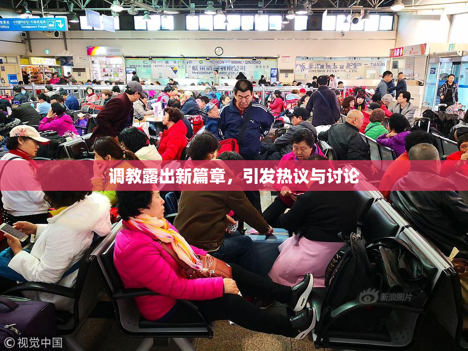 调教露出新篇章，引发热议与讨论