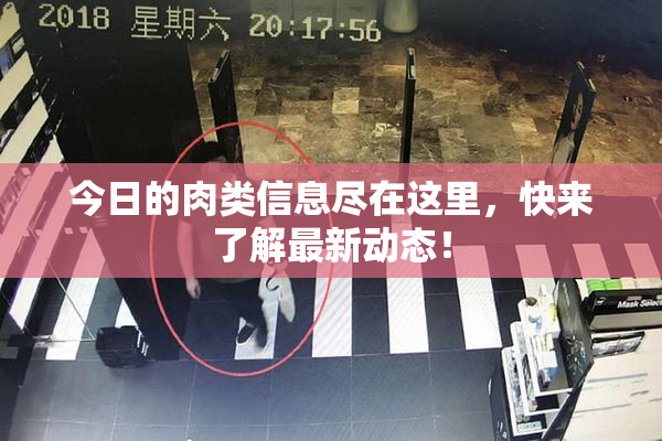 今日的肉类信息尽在这里，快来了解最新动态！