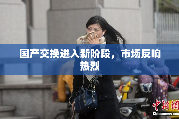 国产交换进入新阶段，市场反响热烈
