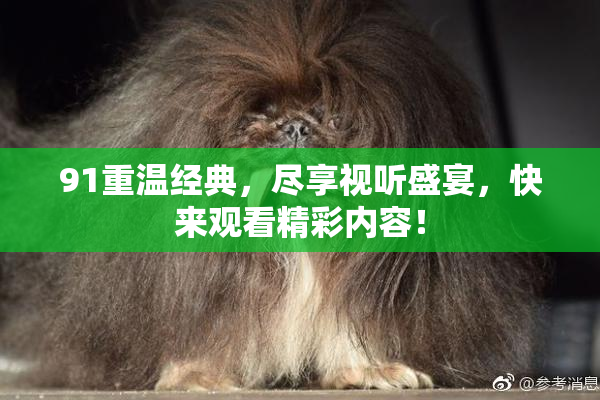 91重温经典，尽享视听盛宴，快来观看精彩内容！