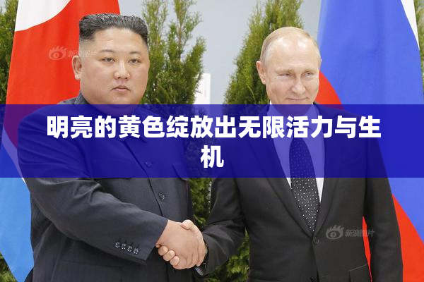明亮的黄色绽放出无限活力与生机