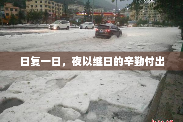 日复一日，夜以继日的辛勤付出