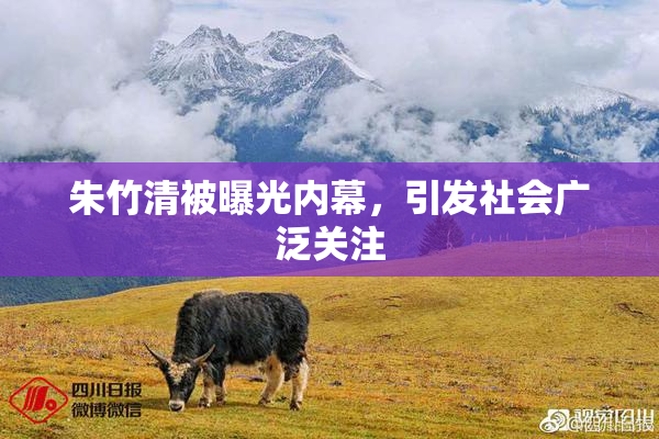 朱竹清被曝光内幕，引发社会广泛关注