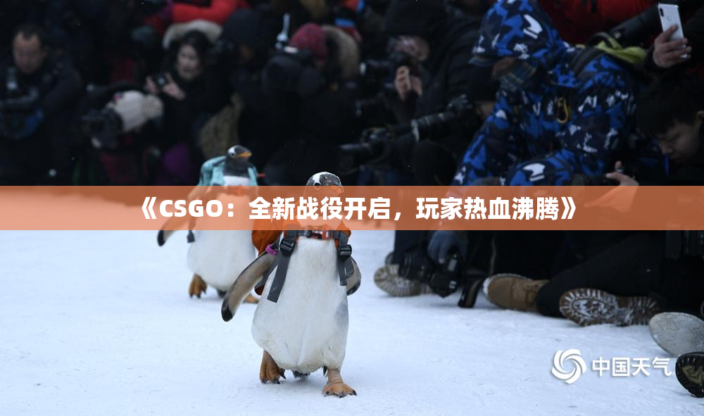 《CSGO：全新战役开启，玩家热血沸腾》