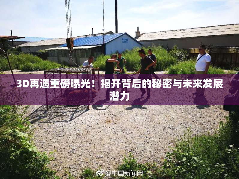 3D再遇重磅曝光！揭开背后的秘密与未来发展潜力