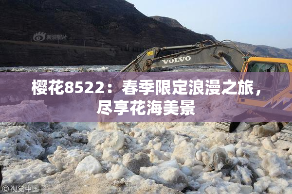 樱花8522：春季限定浪漫之旅，尽享花海美景