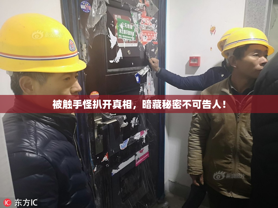 被触手怪扒开真相，暗藏秘密不可告人！