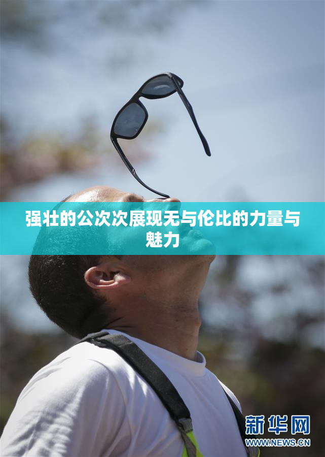 强壮的公次次展现无与伦比的力量与魅力