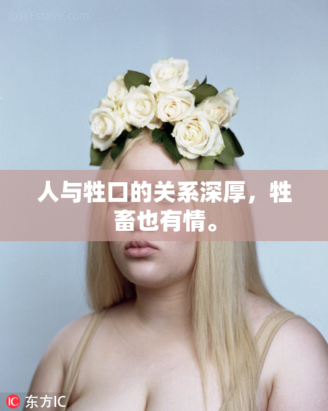 人与牲口的关系深厚，牲畜也有情。