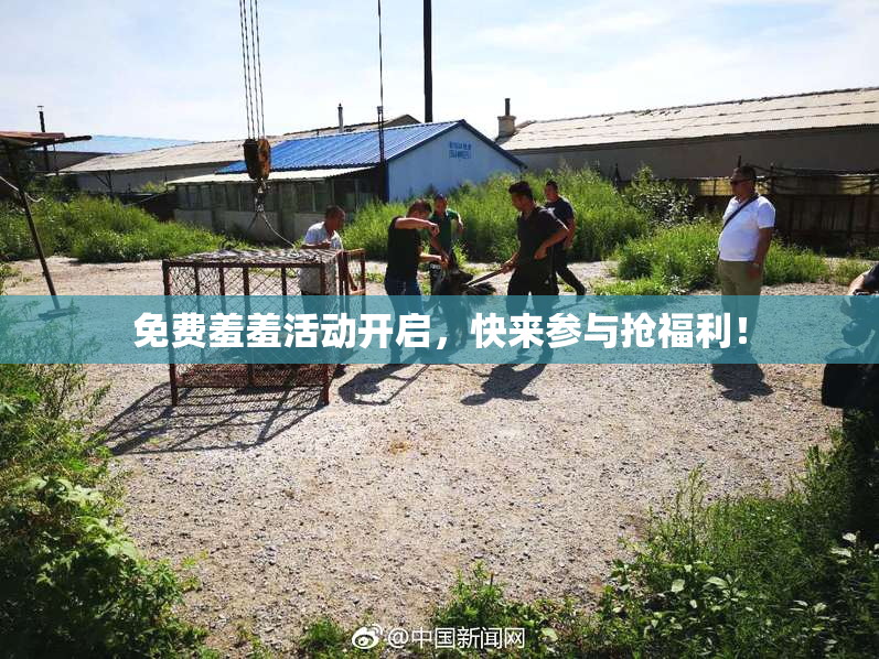 免费羞羞活动开启，快来参与抢福利！