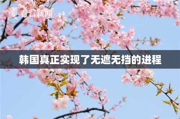 韩国真正实现了无遮无挡的进程