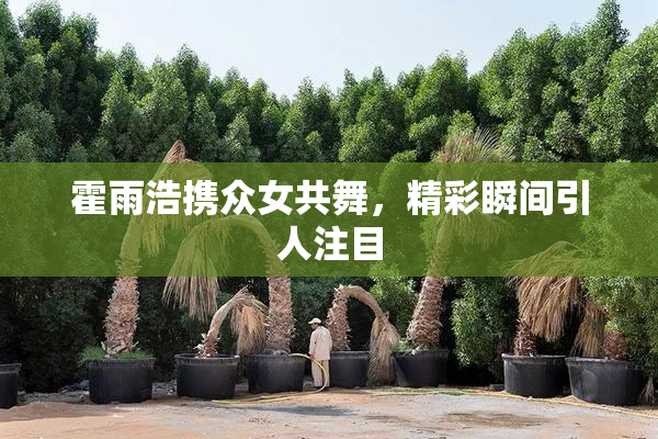 霍雨浩携众女共舞，精彩瞬间引人注目