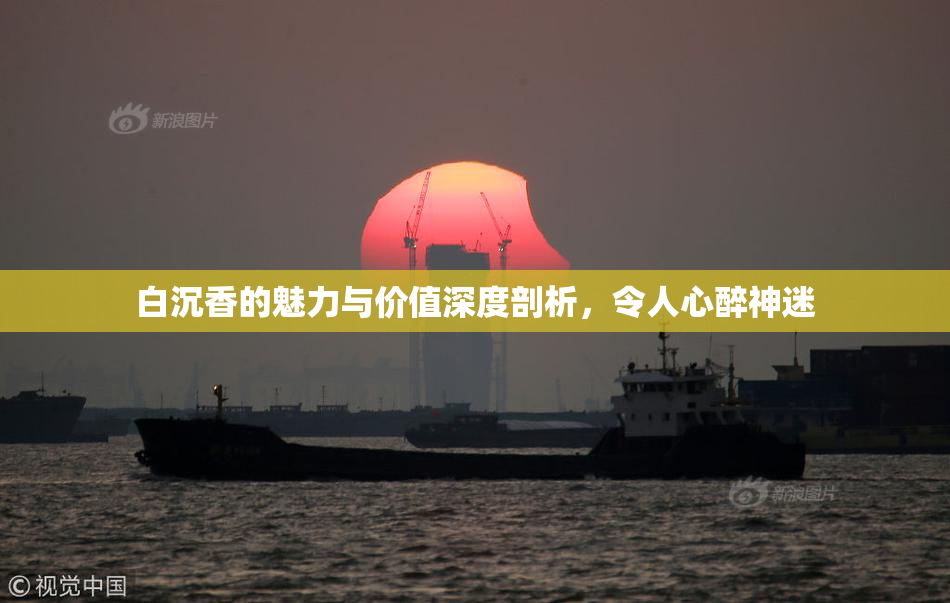 白沉香的魅力与价值深度剖析，令人心醉神迷