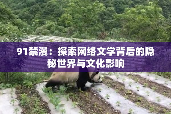 91禁漫：探索网络文学背后的隐秘世界与文化影响