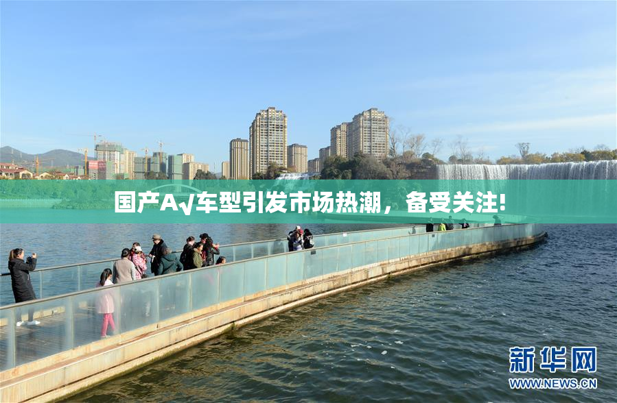 国产A√车型引发市场热潮，备受关注!