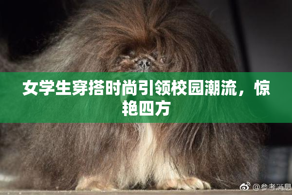女学生穿搭时尚引领校园潮流，惊艳四方