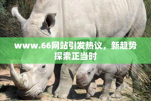 www.66网站引发热议，新趋势探索正当时
