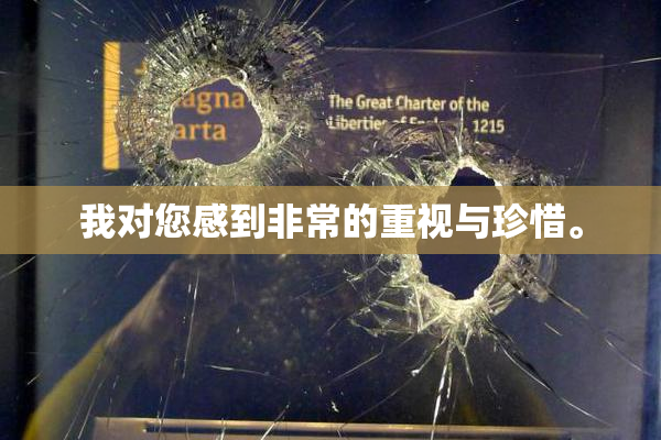 我对您感到非常的重视与珍惜。
