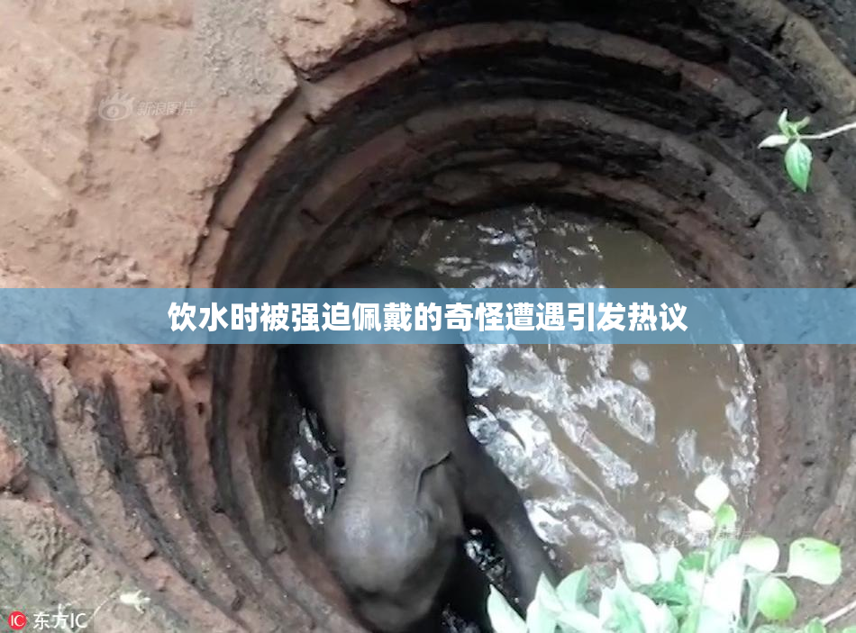 饮水时被强迫佩戴的奇怪遭遇引发热议