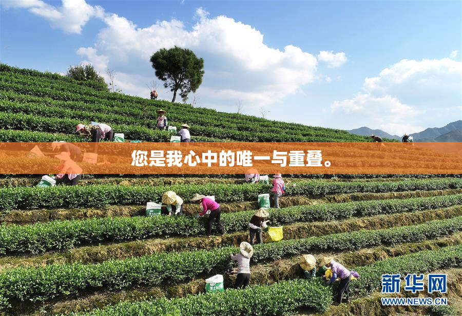 您是我心中的唯一与重叠。