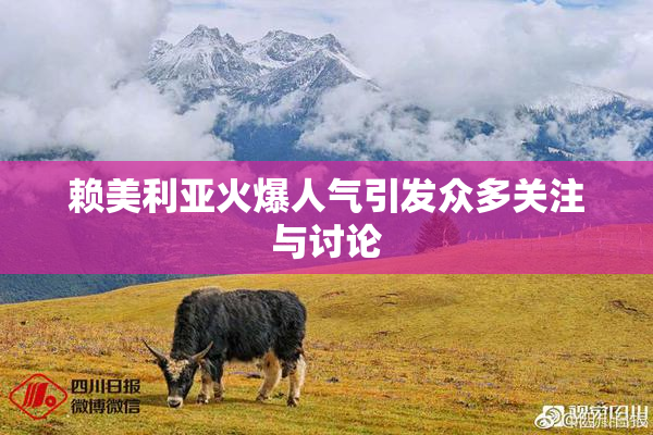 赖美利亚火爆人气引发众多关注与讨论