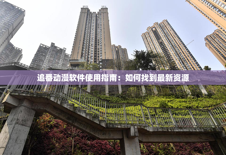 追番动漫软件使用指南：如何找到最新资源