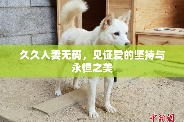 久久人妻无码，见证爱的坚持与永恒之美
